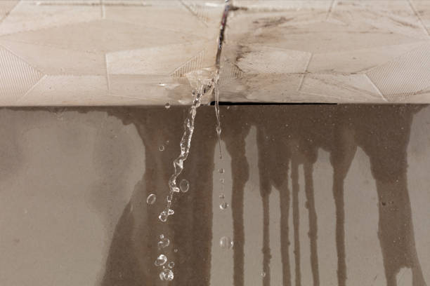 Professional Structural Drying technician working in Van Nuys, CA